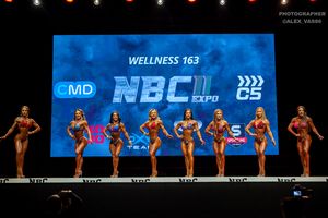 WELLNESS 163